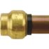 Tectite 1/2 in. Brass Push-To-Connect Cap Pro Pack (6-Pack)