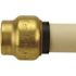 Tectite 1/2 in. Brass Push-To-Connect Cap Pro Pack (6-Pack)