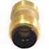 Tectite 3/4 in. Brass Push-To-Connect Coupling Pro Pack (6-Pack)