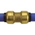 Tectite 1/2 in. Brass Push-To-Connect Coupling Pro Pack (6-Pack)