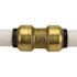 Tectite 1/2 in. Brass Push-To-Connect Coupling Pro Pack (6-Pack)