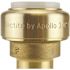 Tectite 3/4 in. IPS Brass Push-to-Connect x 3/4 in. CTS Street Transition Adapter
