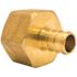 Apollo 1/2 in. Brass PEX-B Barb x 3/4 in. Female Pipe Thread Adapter