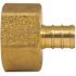 Apollo 1/2 in. Brass PEX-B Barb x 3/4 in. Female Pipe Thread Adapter