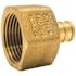 Apollo 1/2 in. Brass PEX-B Barb x 3/4 in. Female Pipe Thread Adapter