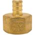 Apollo 1/2 in. Brass PEX-B Barb x 3/4 in. Female Pipe Thread Adapter