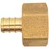 Apollo 1/2 in. Brass PEX-B Barb x 3/4 in. Female Pipe Thread Adapter