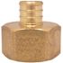 Apollo 3/4 in. Brass PEX-B Barb x 1 in. Female Pipe Thread Adapter