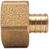 Apollo 3/4 in. Brass PEX-B Barb x 1 in. Female Pipe Thread Adapter