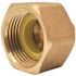 Apollo 3/4 in. Brass PEX-B Barb x 1 in. Female Pipe Thread Adapter