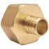 Apollo 3/4 in. Brass PEX-B Barb x 1 in. Female Pipe Thread Adapter