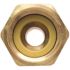 Apollo 3/4 in. Brass PEX-B Barb x 1 in. Female Pipe Thread Adapter