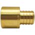 Apollo 1 in. Brass PEX-B Barb x 1 in. Female Copper Sweat Adapter