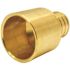 Apollo 1 in. Brass PEX-B Barb x 1 in. Female Copper Sweat Adapter