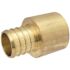 Apollo 1 in. Brass PEX-B Barb x 1 in. Female Copper Sweat Adapter