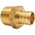 Apollo 3/4 in. Brass PEX-B Barb x 3/4 in. Male Pipe Thread Adapter (5-Pack)