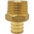 Apollo 3/4 in. Brass PEX-B Barb x 3/4 in. Male Pipe Thread Adapter (5-Pack)