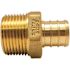 Apollo 3/4 in. Brass PEX-B Barb x 3/4 in. Male Pipe Thread Adapter (5-Pack)