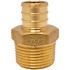 Apollo 3/4 in. Brass PEX-B Barb x 3/4 in. Male Pipe Thread Adapter (5-Pack)