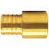 Apollo 1 in. Brass PEX-B Barb x 1 in. Male Copper Sweat Adapter