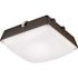 Lithonia Lighting CNY 35-Watt 4500 Lumens Integrated LED Dark Bronze Outdoor Canopy Area Light, 5000K