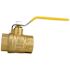 Apollo 1 in. Brass FNPT x FNPT Full-Port Ball Valve