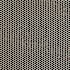 MSI Nero Penny Round 11 in. x 12 in. x 0.24 in. Matte Porcelain Mesh-Mounted Mosaic Floor and Wall Tile (14.4 sq. ft./Case)