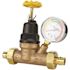 Apollo 3/4 in. Bronze Double Union PEX-A Barb Water Pressure Regulator with Gauge