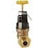 Apollo 3/4 in. Bronze Double Union PEX-A Barb Water Pressure Regulator with Gauge