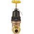 Apollo 3/4 in. Bronze Double Union PEX-A Barb Water Pressure Regulator with Gauge