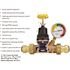 Tectite 3/4 in. Bronze Double Union Push-To-Connect Water Pressure Regulator with Gauge