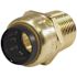 Tectite 1/2 in. Brass Push-To-Connect x Male Pipe Thread Adapter Pro Pack (6-Pack)