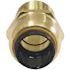 Tectite 1/2 in. Brass Push-To-Connect x Male Pipe Thread Adapter Pro Pack (6-Pack)