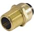 Tectite 1/2 in. Brass Push-To-Connect x Male Pipe Thread Adapter Pro Pack (6-Pack)