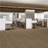 Shaw Intelligent - Cleverish - Brown Commercial 24 x 24 in. Glue-Down Carpet Tile Square (80 sq. ft.)