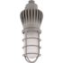 Vaportite 150- - -Watt Equivalent Integrated LED Gray Wall Pack Light/Ceiling Mount 5000K Frosted Glass Globe and Guard