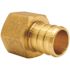 Apollo 3/4 in. Brass PEX-B Barb x 1/2 in. Female Pipe Thread Adapter