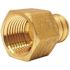 Apollo 3/4 in. Brass PEX-B Barb x 1/2 in. Female Pipe Thread Adapter
