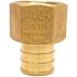 Apollo 3/4 in. Brass PEX-B Barb x 1/2 in. Female Pipe Thread Adapter