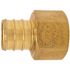 Apollo 3/4 in. Brass PEX-B Barb x 1/2 in. Female Pipe Thread Adapter