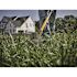 FLEXVOLT 60V MAX 15 in. Brushless Cordless Battery Powered String Trimmer Kit with (1) FLEXVOLT 3 Ah Battery and Charger