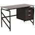 Carnegy Avenue 46 in. Black Rectangular 2 -Drawer Computer Desk with File Storage
