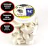 Charlotte Pipe 3/4 in. x 3/4 in. 90 Degree PVC Socket x Socket Elbow Fitting 35 -Pack
