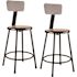 National Public Seating NPS 24 in. Black Heavy Duty Steel Stool With Backrest (2-Pack)