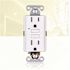 15-Amp 125-Volt GFCI Duplex Tamper Resistant Outlet, GFI Receptacle with Indicator Light and Wall Plate, White (10-Pack)