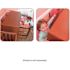 SNAP-LOC 1 ft. x 2 in. Multi-Use Logistic E-Strap in Red (2-Pack)