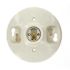 Leviton 600-Watt 250-Volt White Glazed Porcelain Outlet Box Mount Incandescent Lampholder