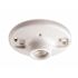 Leviton 600-Watt 250-Volt White Glazed Porcelain Outlet Box Mount Incandescent Lampholder