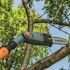 Scotts 10 in. 8 Amp Electric Pole Chainsaw