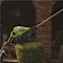 Earthwise 20 in. 20V Lithium-Ion Cordless Pole Hedge Trimmer - 2 Ah Battery and Charger Included